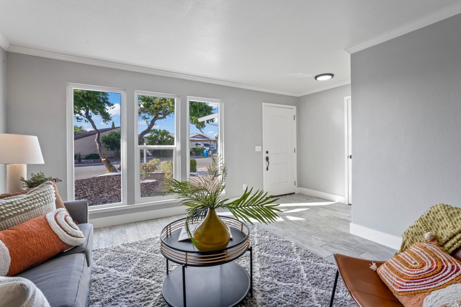 a living room with furniture and a potted plant