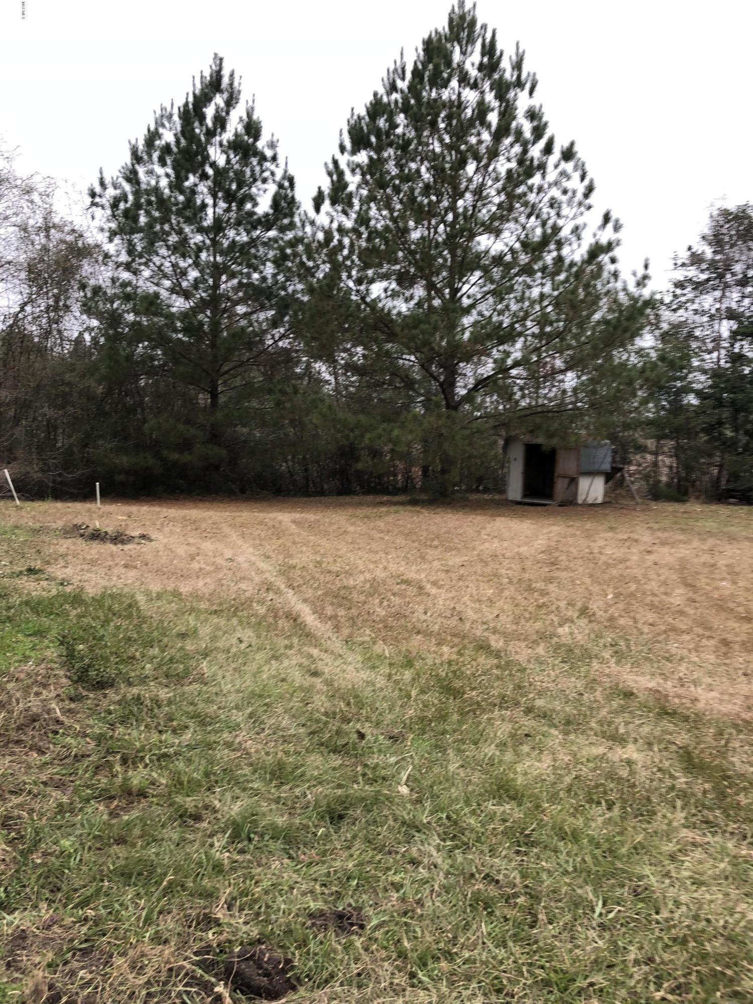 81 Forest Lake Road Beaumont, MS 39423 - Photo 8 of 11 IMG_2664