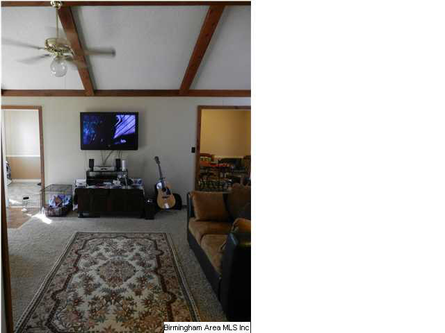 4777 Vise Road Pinson, AL 35126 - Photo 12 of 19