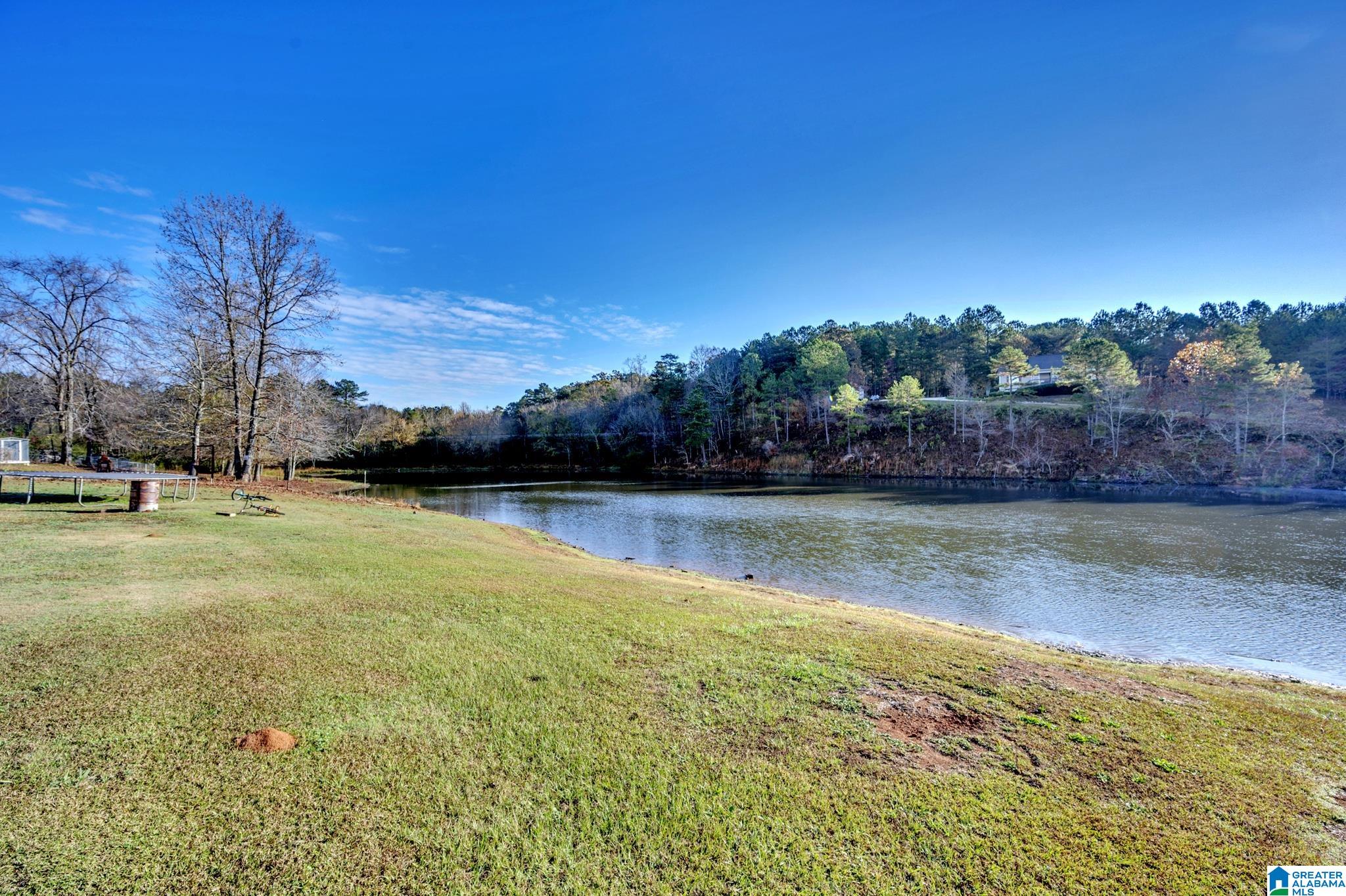 199 Quail Hollow Road Warrior, AL 35180 - Photo 5 of 21