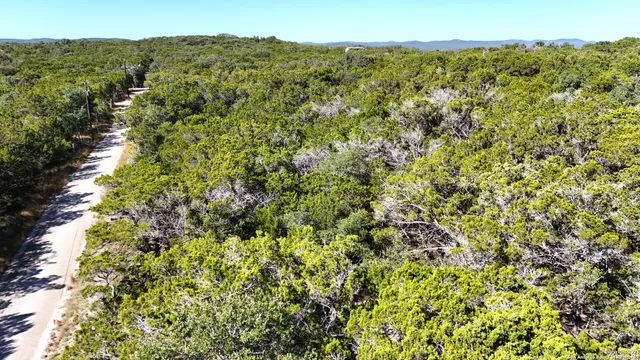 a view of a large yard with lots of bushes