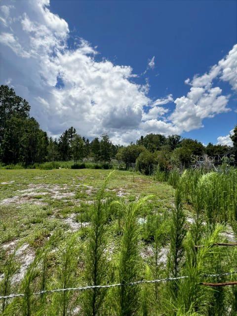 5345 South Fork Ranch Road Clermont, FL 34714 - Photo 8 of 26