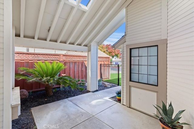 a potted plant in front of a door