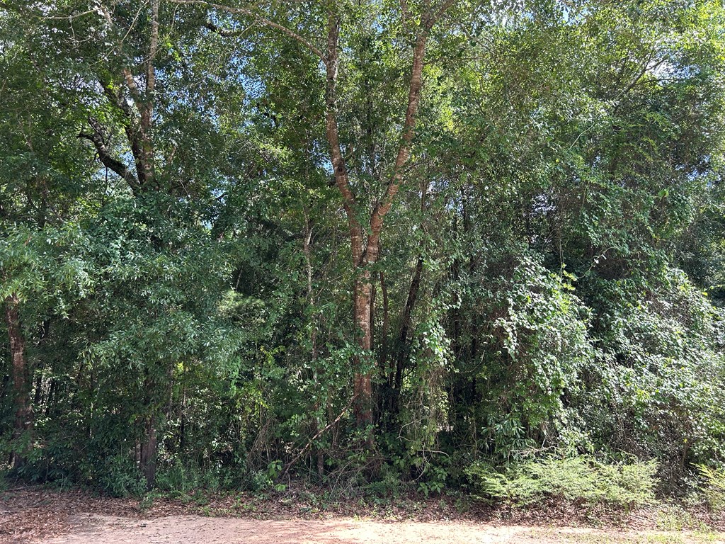 19.16-ac 19.16-ac Ramer Loop Cottonwood, AL 36320 - Photo 27 of 34