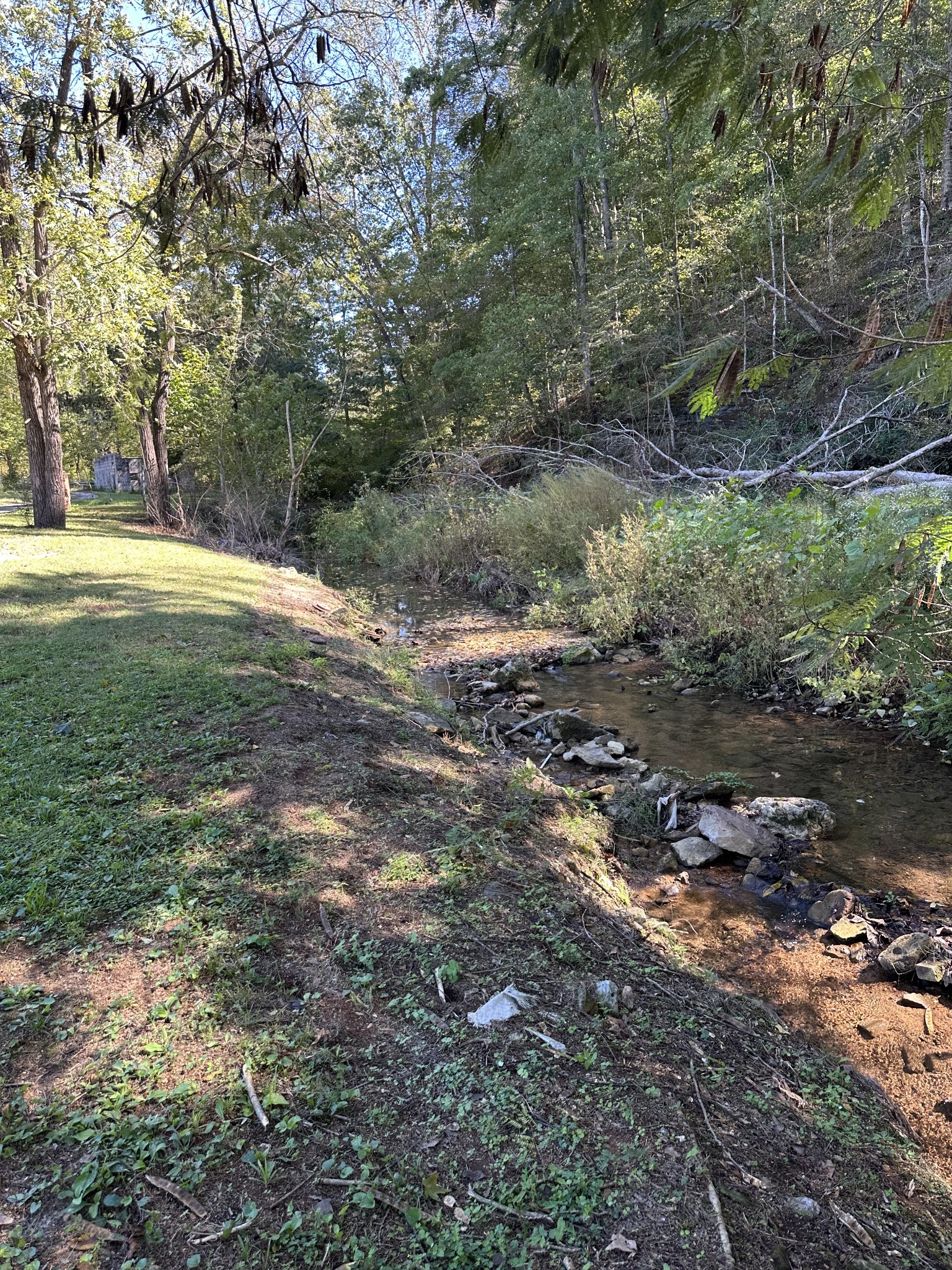 51 Ed Hankins Road Erin, TN 37061 - Photo 14 of 17 Gallery Image 14