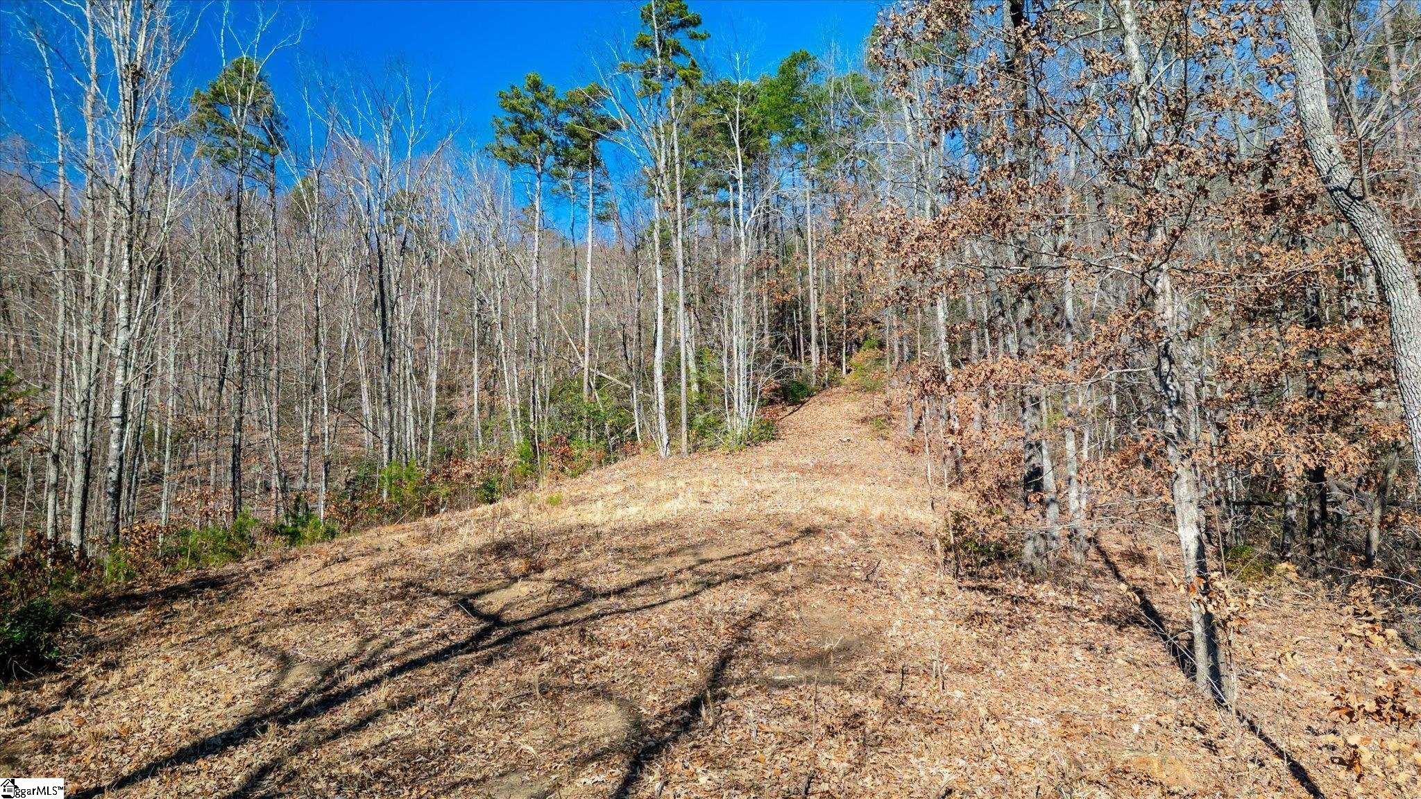 0 Wind River Trail Cleveland, SC 29635 - Photo 3 of 9