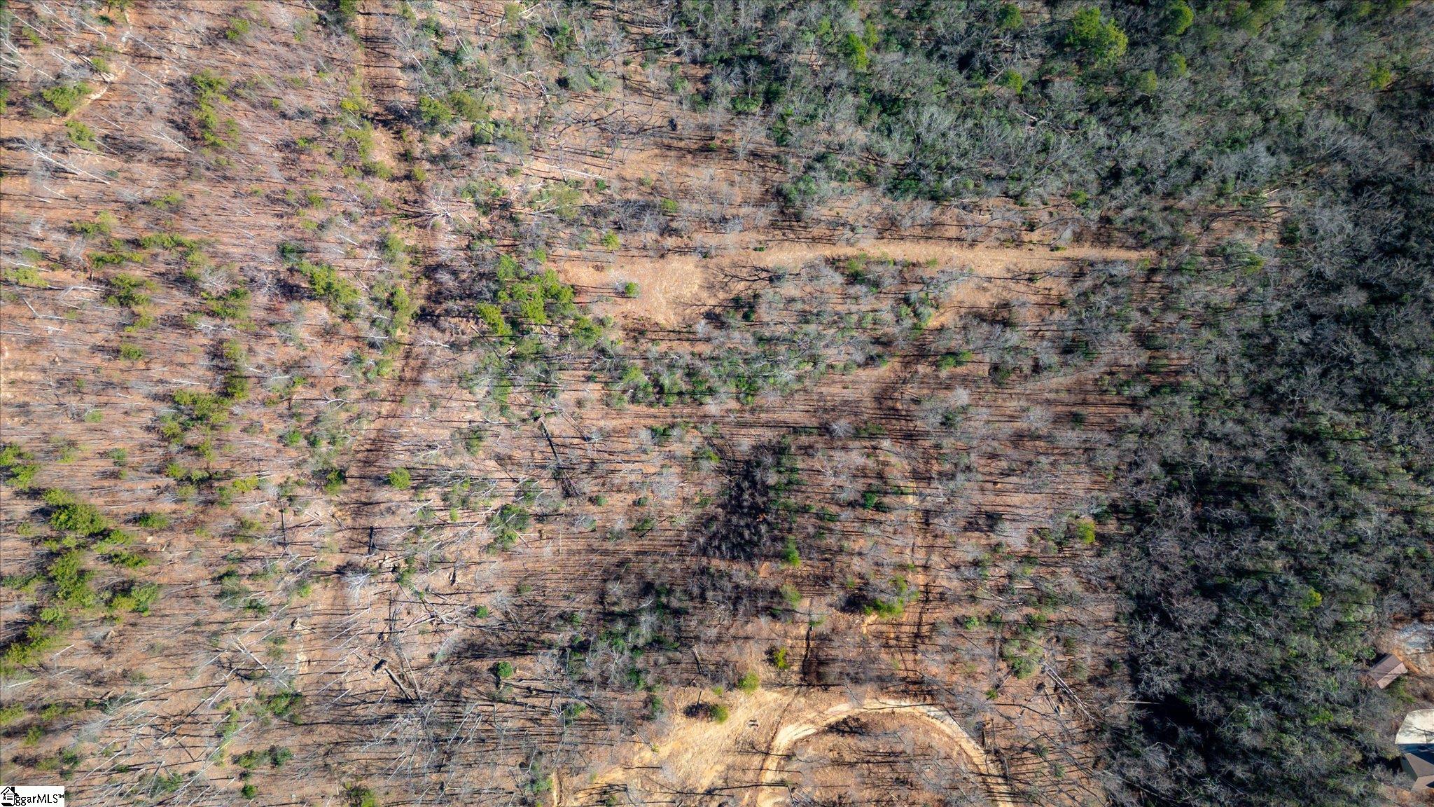 0 Wind River Trail Cleveland, SC 29635 - Photo 6 of 9