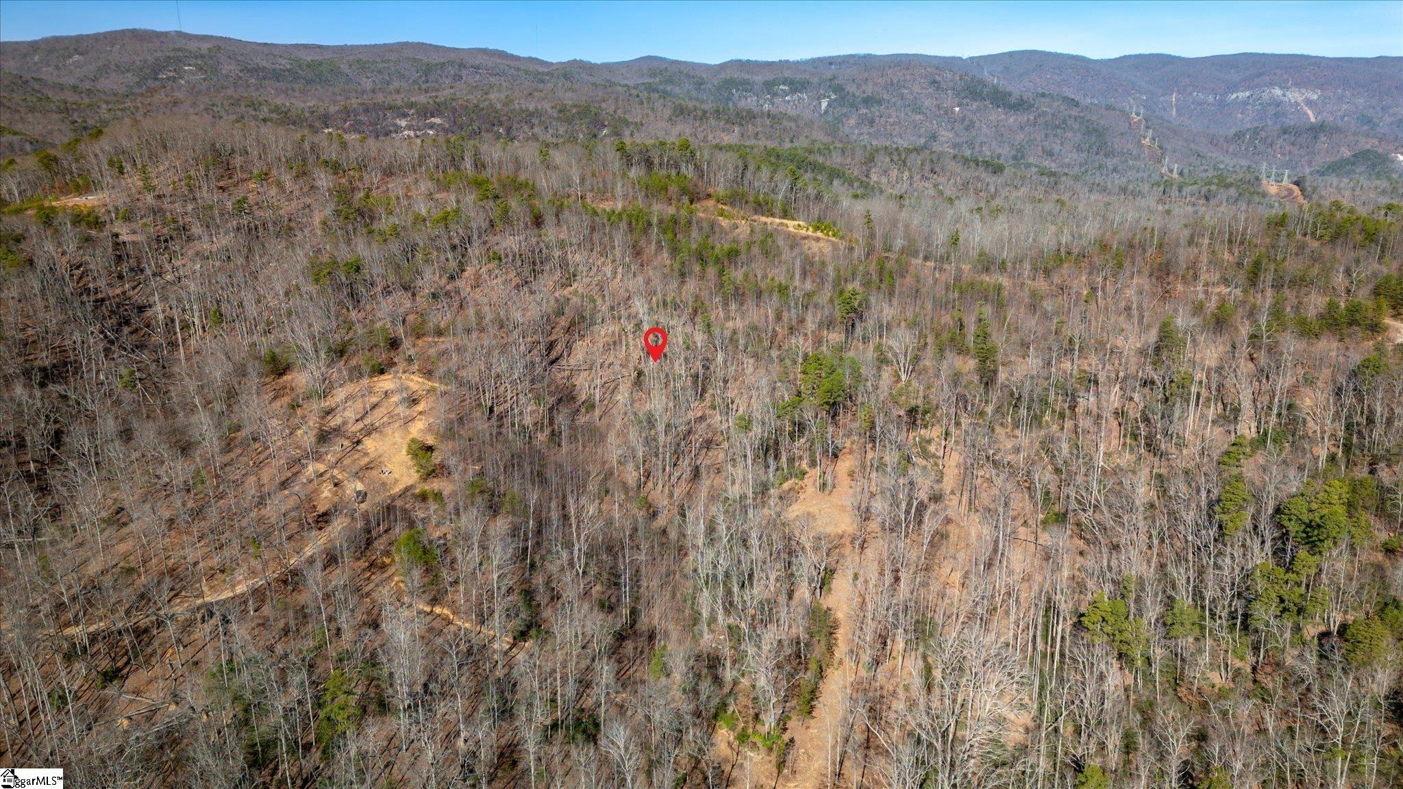 0 Wind River Trail Cleveland, SC 29635 - Photo 9 of 9