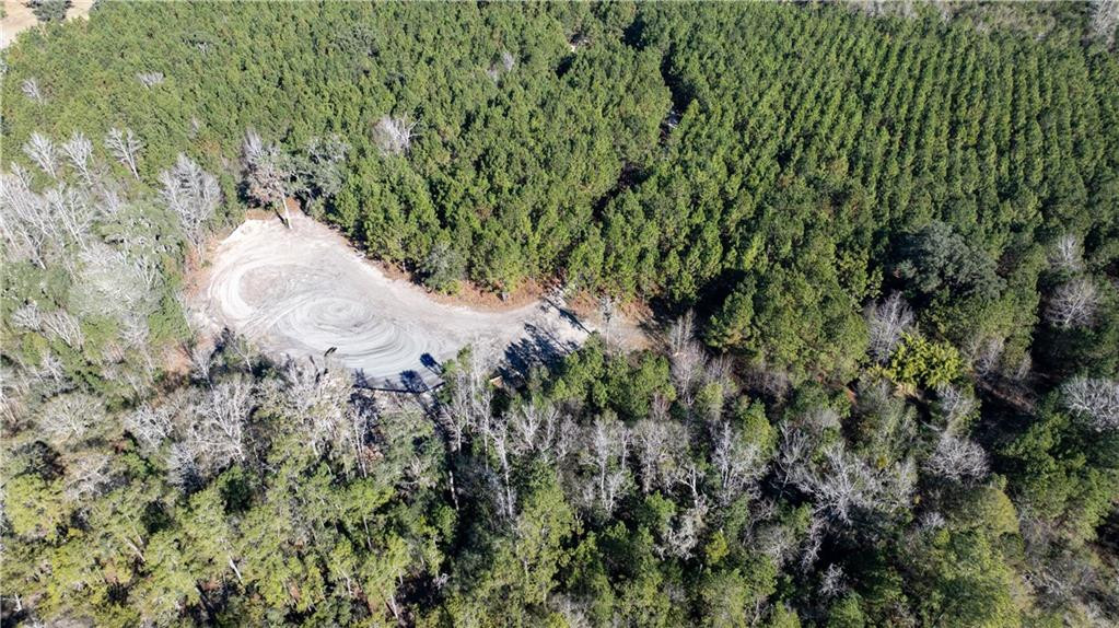 30.46-acres Minton Road Townsend, GA 31331 - Photo 11 of 22
