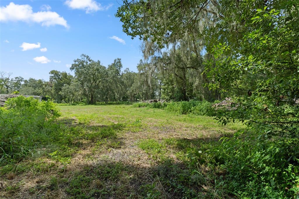 0 Trilby Cutoff Road Dade City, FL 33523 - Photo 4 of 13 Gallery Image 4