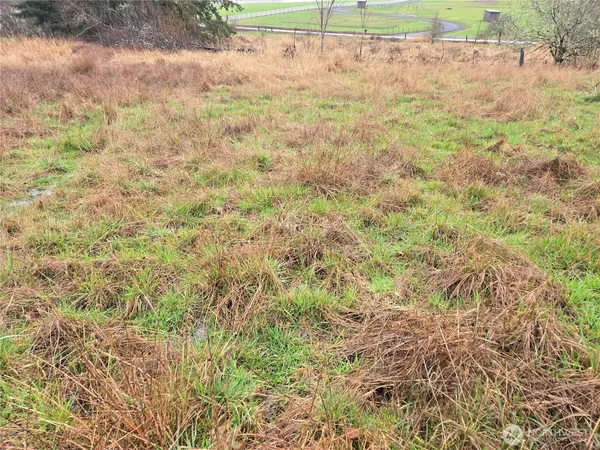 a view of yard with green space