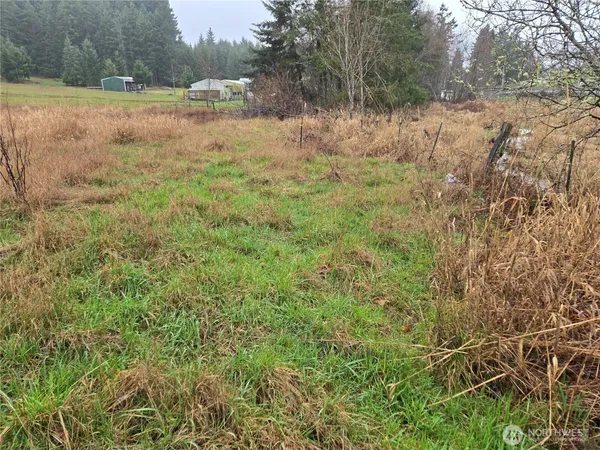 a view of a dry yard with trees in the background