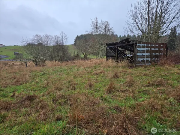 a view of field with large trees