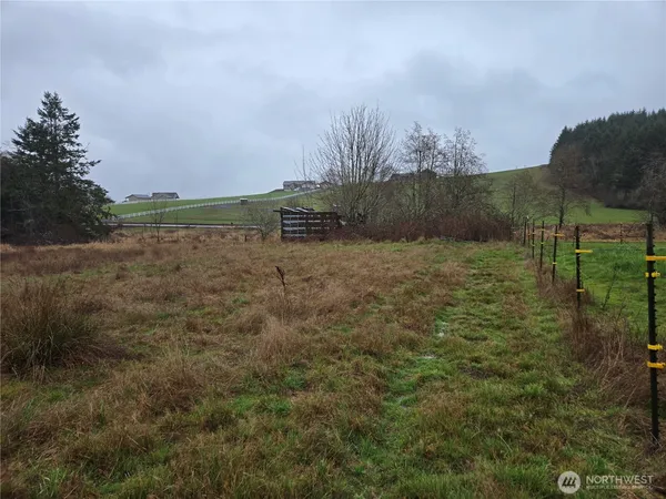 a view of a field with an ocean