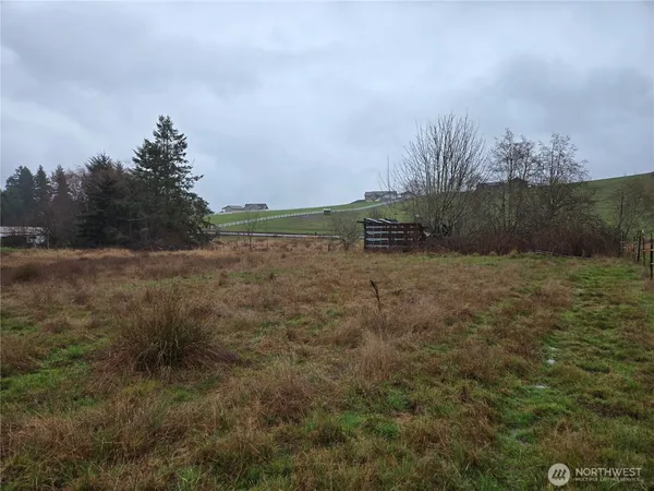 a view of a yard with large trees