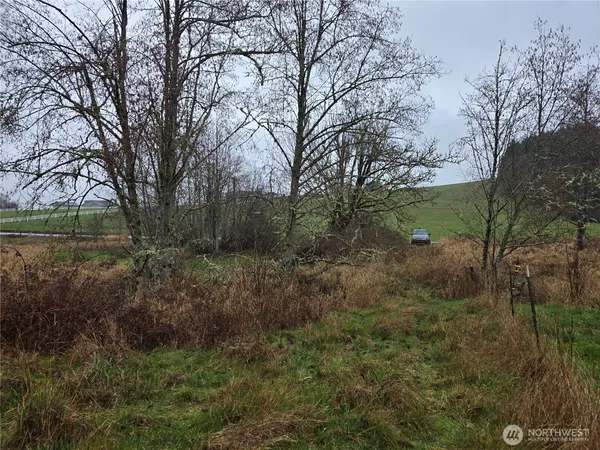 a backyard of a house with lots of green space and garden area