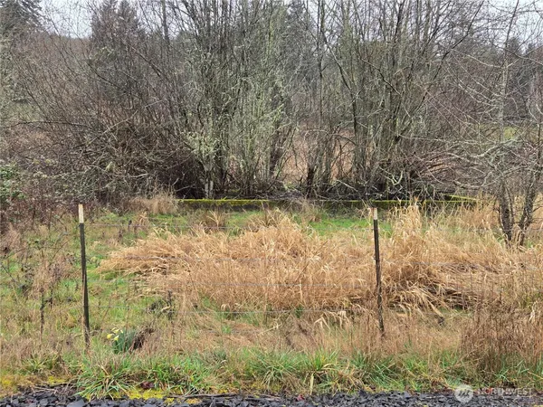 a car parked on the side of the road