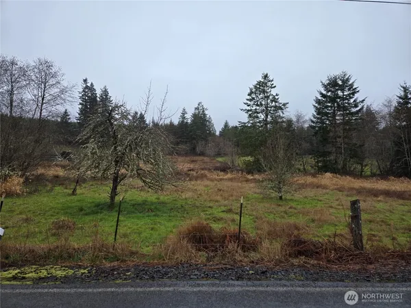 a view of outdoor space and trees all around