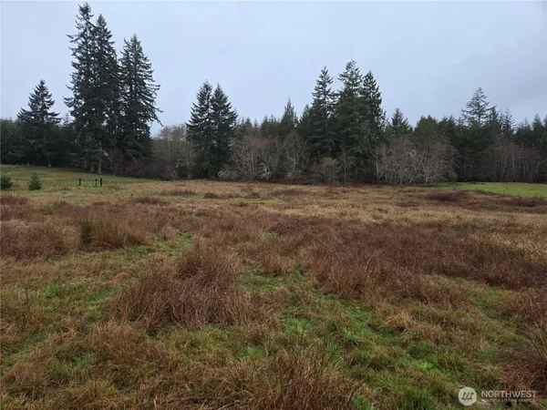 a view of a field of grass and trees