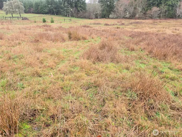 a view of a yard with a yard