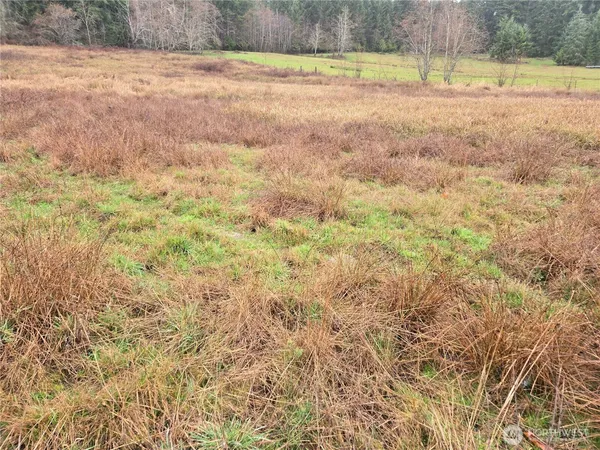 a view of a yard with an empty space and wooden floor