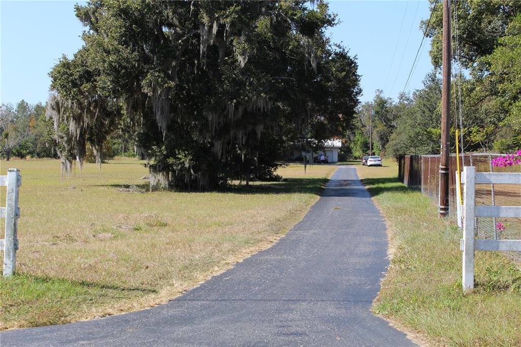 2755 Taylor Road Auburndale, FL 33823 - Photo 3 of 86 a view of a yard with swimming pool