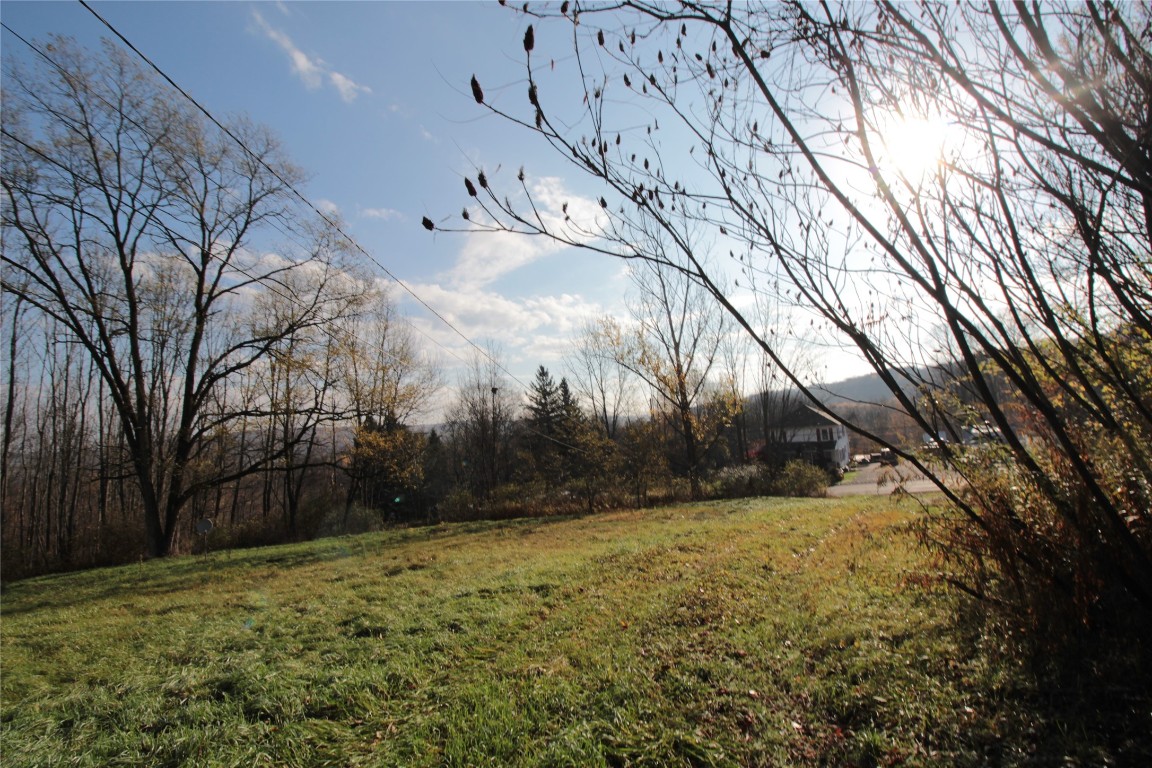 641 Pendell Hill Road Whitney Point, NY 13862 - Photo 4 of 31 Gallery Image 4