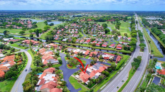 a view of a backyard with a palm tree