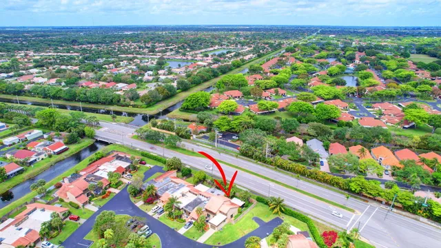 a view of a garden with a tree