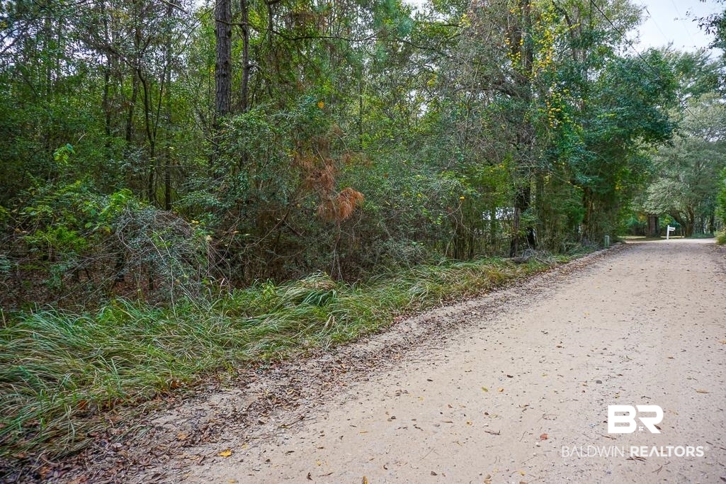 0 Smith Young Road Mobile, AL 36695 - Photo 2 of 8 View of dirt / gravel road featuring a view of trees