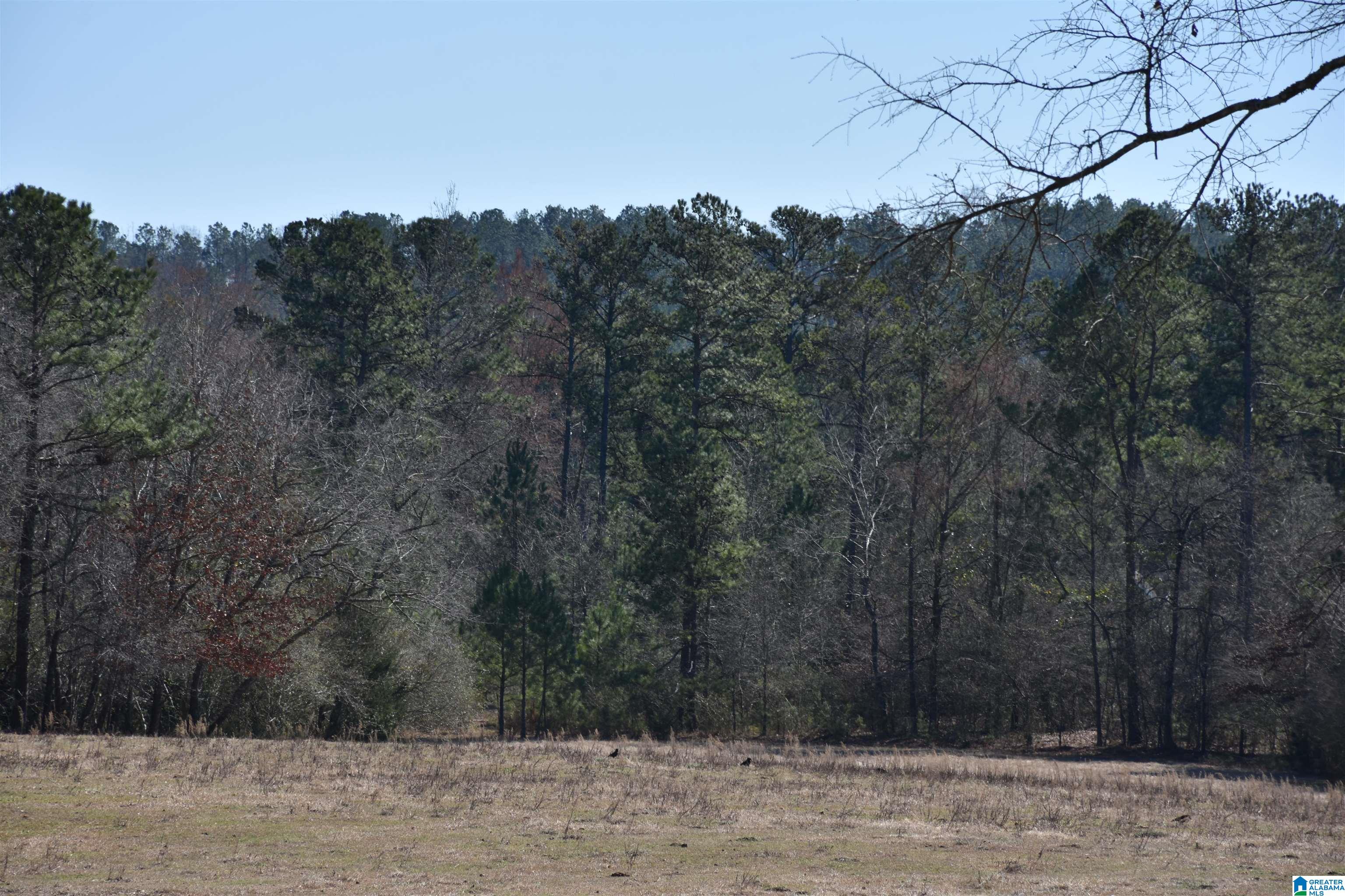 2003 New Maryland Road Alpine, AL 35014 - Photo 33 of 38