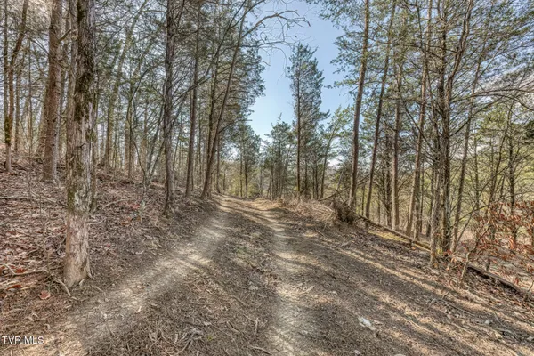 $325,000 | 193 North Fork Branch Road, Rogersville, TN 37857