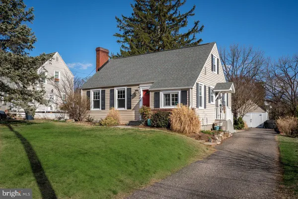 a view of a backyard with plants and a tree