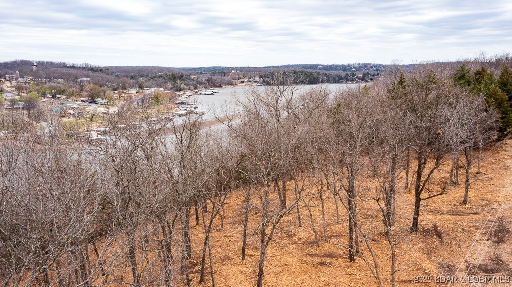 Fischer Place Edwards, MO 65326 - Photo 13 of 15