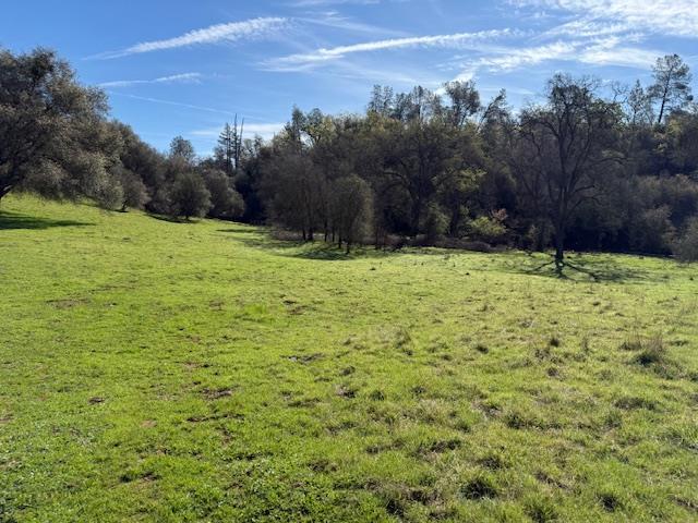 3 Shinn Ranch Road El Dorado, CA 95623 - Photo 11 of 28 a view of a yard with an trees