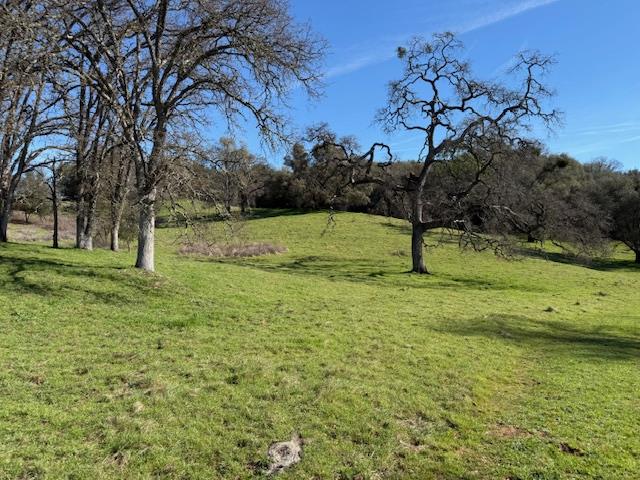 3 Shinn Ranch Road El Dorado, CA 95623 - Photo 12 of 28 a view of park with large trees