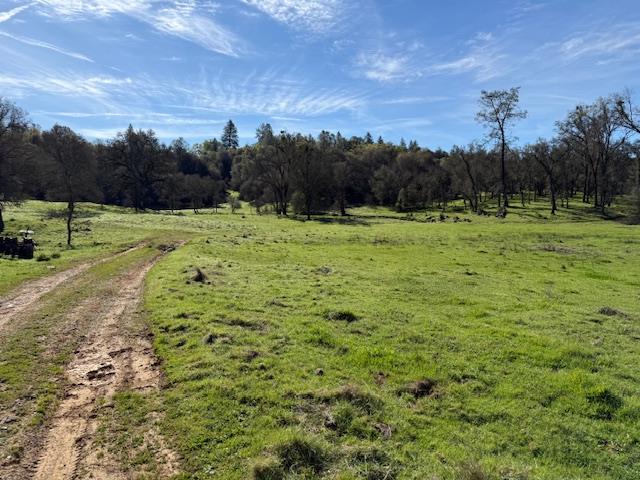 3 Shinn Ranch Road El Dorado, CA 95623 - Photo 13 of 28 a view of a yard with an trees