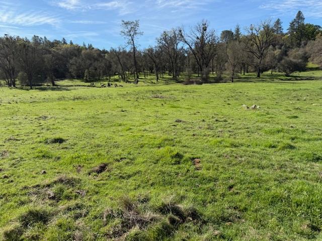 3 Shinn Ranch Road El Dorado, CA 95623 - Photo 14 of 28 a view of grassy field with trees