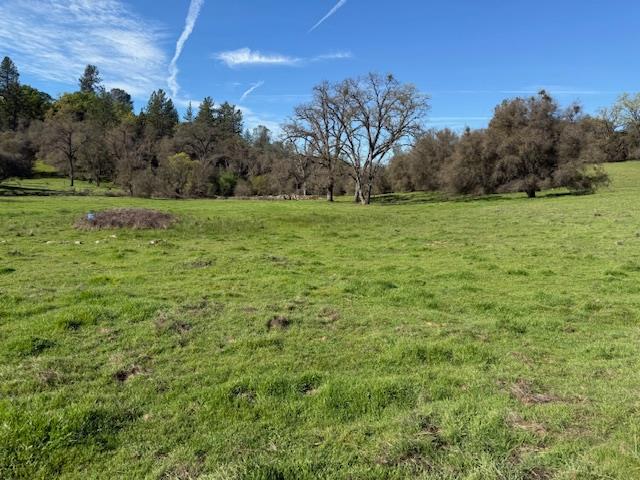 3 Shinn Ranch Road El Dorado, CA 95623 - Photo 15 of 28 a view of a green field with trees