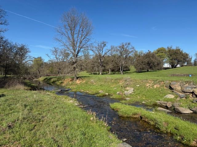 3 Shinn Ranch Road El Dorado, CA 95623 - Photo 16 of 28 a view of a field with an trees