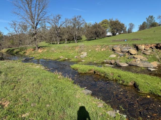 3 Shinn Ranch Road El Dorado, CA 95623 - Photo 17 of 28 a view of a field with an trees