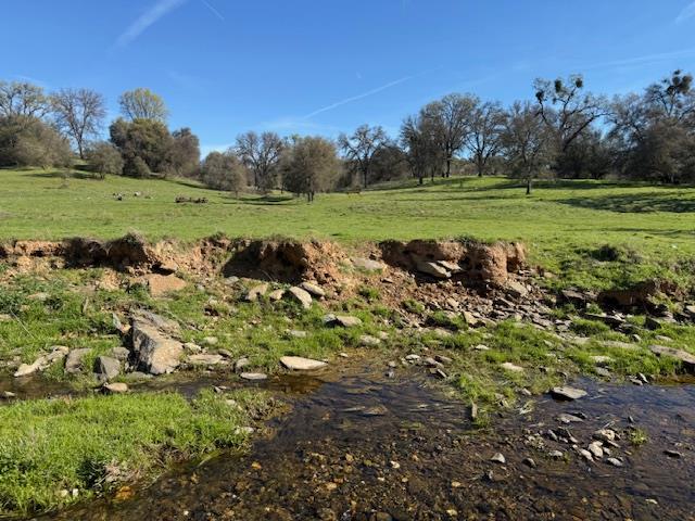 3 Shinn Ranch Road El Dorado, CA 95623 - Photo 18 of 28 a view of a grassy field with trees