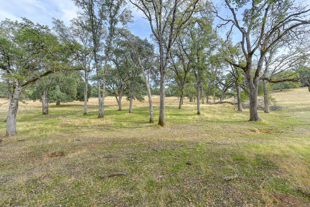 3 Shinn Ranch Road El Dorado, CA 95623 - Photo 2 of 8