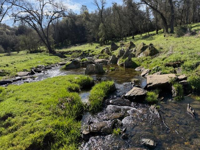 3 Shinn Ranch Road El Dorado, CA 95623 - Photo 2 of 28 a view of a yard with a tree