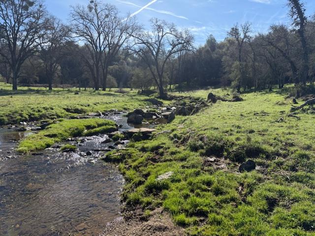 3 Shinn Ranch Road El Dorado, CA 95623 - Photo 21 of 28 a view of a yard with a tree