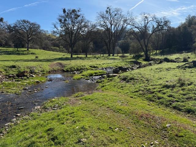 3 Shinn Ranch Road El Dorado, CA 95623 - Photo 22 of 28 a big yard with lots of green space and deers