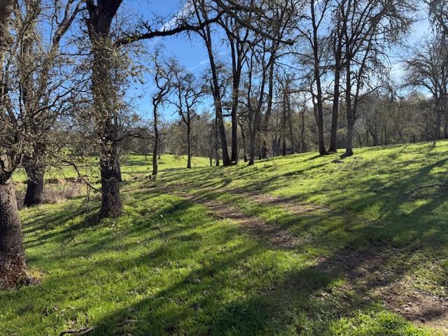 3 Shinn Ranch Road El Dorado, CA 95623 - Photo 23 of 28 a big yard with lots of green space and trees