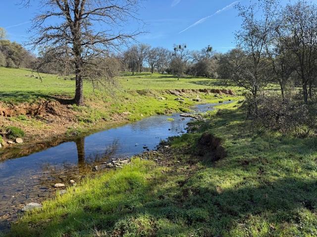 3 Shinn Ranch Road El Dorado, CA 95623 - Photo 25 of 28 a view of a yard with an trees