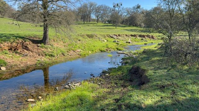 3 Shinn Ranch Road El Dorado, CA 95623 - Photo 26 of 28 a view of a yard with large trees