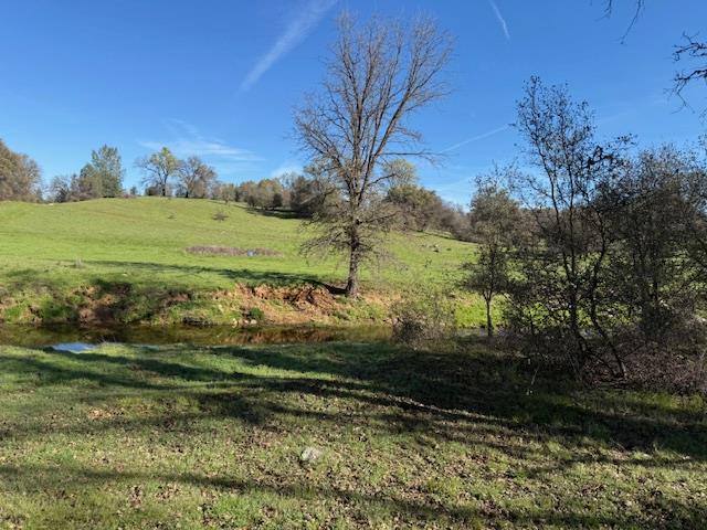 3 Shinn Ranch Road El Dorado, CA 95623 - Photo 27 of 28 a view of a field with an trees